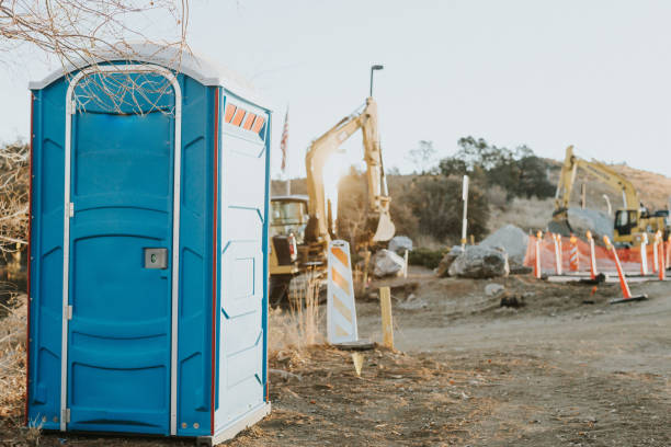 Best Portable toilet rental cost  in Despard, WV