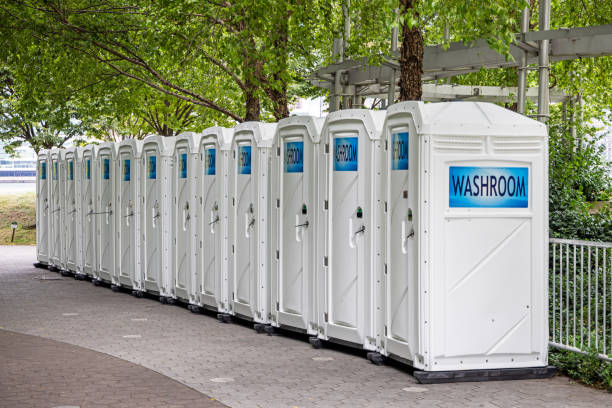 Professional porta potty rental in Despard, WV