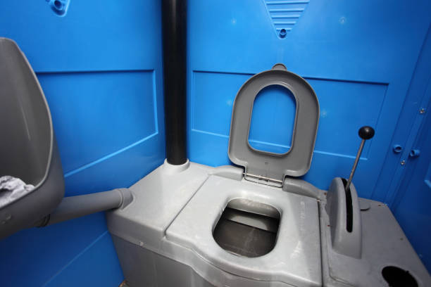 Best Handicap porta potty rental  in Despard, WV