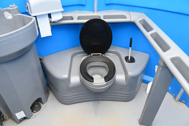 Best Porta potty rental for parties  in Despard, WV