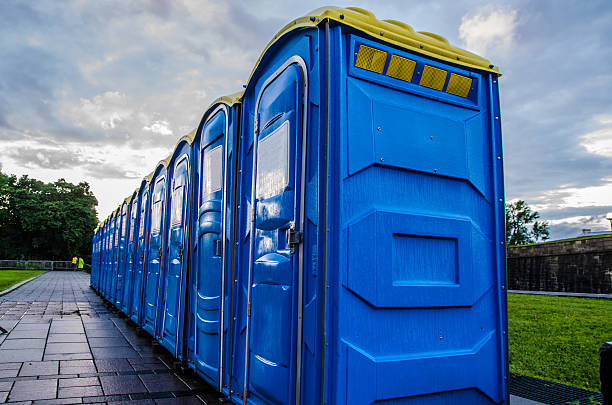 Best Porta potty services near me  in Despard, WV